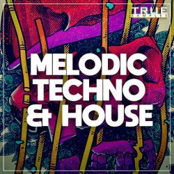 叶听雪 - 眼泪的错觉(Dj小学生&Dj阿胖 ProgHouse Mix国语女)