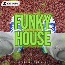 冷漠、云菲菲 - 伤心城市 (DjPad仔 FunkyHouse Remix)