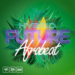 屠洪刚 - 精忠报国 (DJPad仔 FunkyHouse Mix 2026)