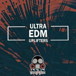 满天星辰不及你( Dj文意 ProgHouse Remix)
