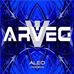 DJ珺宝 - 国粤语Electro风格音乐抖音热播2026一个人劲爆DJ车载串烧