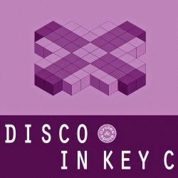 DJ珺宝 - 中英文Electro音乐月亮照山川座位流行专辑串烧