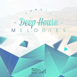 卓依婷 - 潮湿的心(DjPad仔 FunkyHouse Remix 2026)