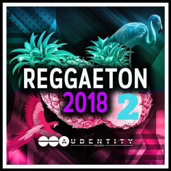 半吨兄弟 - 诺言(DJ小劲 Electro Rmx 2024)
