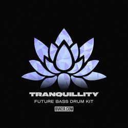 王键 - 冰吻（柳州DjWXM FunkyHouse Remix 2026）