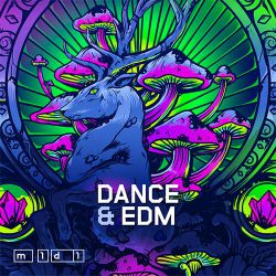 Wire Drawing-Beng Beng Ba(DjLocke Mix)-男ElectroMelbourne