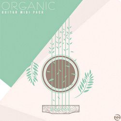 湛江Dj肥龙-全粤语Electro音乐怀旧共鸣经典包厢串烧
