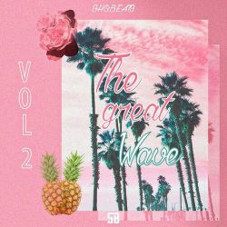 王麟vs老猫 - 伤不起(Dj王硕 Disco Remix)